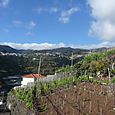 Calheta - Madeira - Portugal