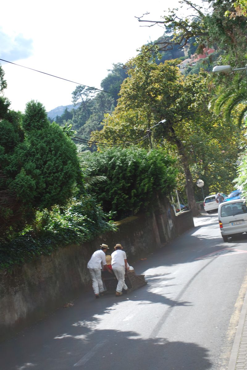 Carreiros de Monte - Funchal - Madeira - Portugal