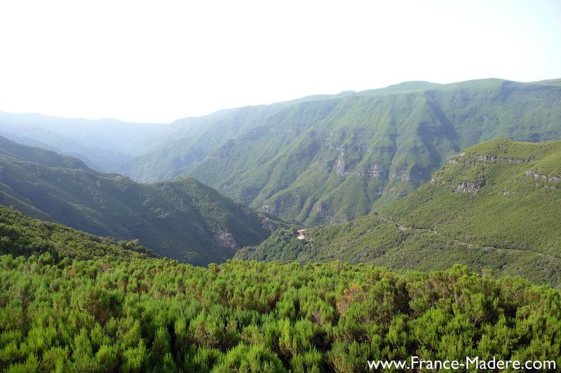 Rabacal - Madeira