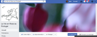 La vie en rose facebook